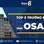 Các Ngành Tại Đại Học Osaka Có Những Ngành Gì Ở Mỹ Không