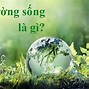 Môi Trường Sống Là Gì Có Những Loại Môi Trường Nào