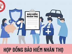 Nguyên Tắc Của Hoạt Động Kinh Doanh Bảo Hiểm